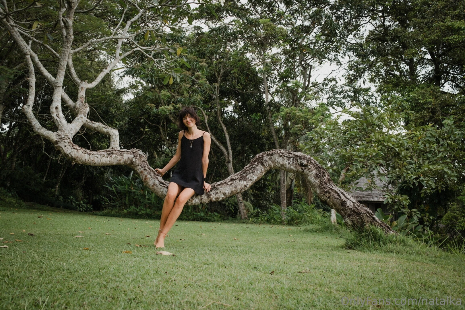 Finding balance in nature s quiet magic 