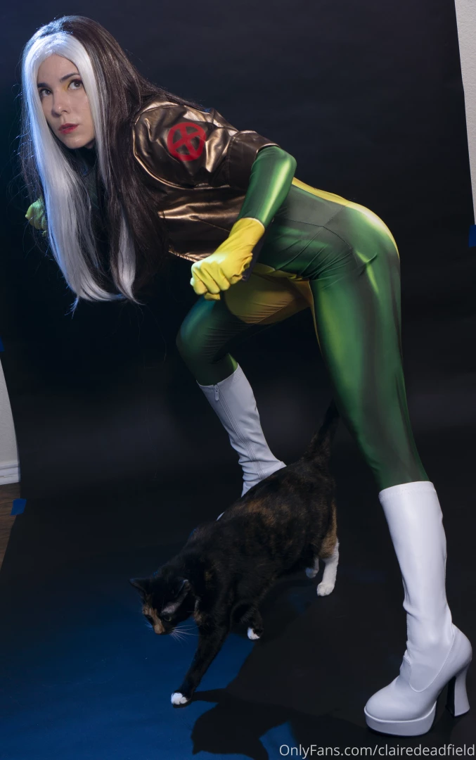 This cat likes to live dangerously i love my kitty cat behind the part 1 