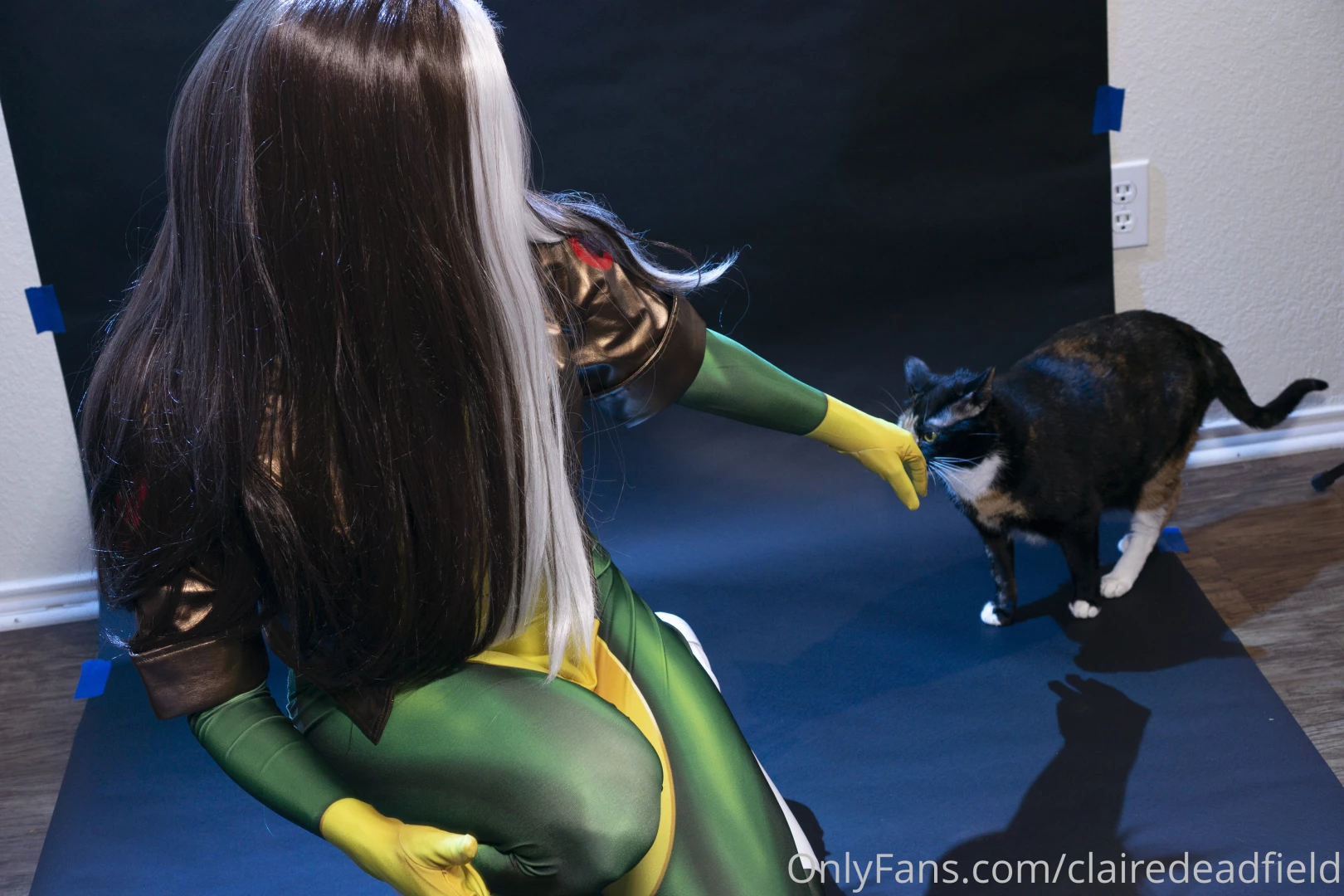 This cat likes to live dangerously i love my kitty cat behind the 