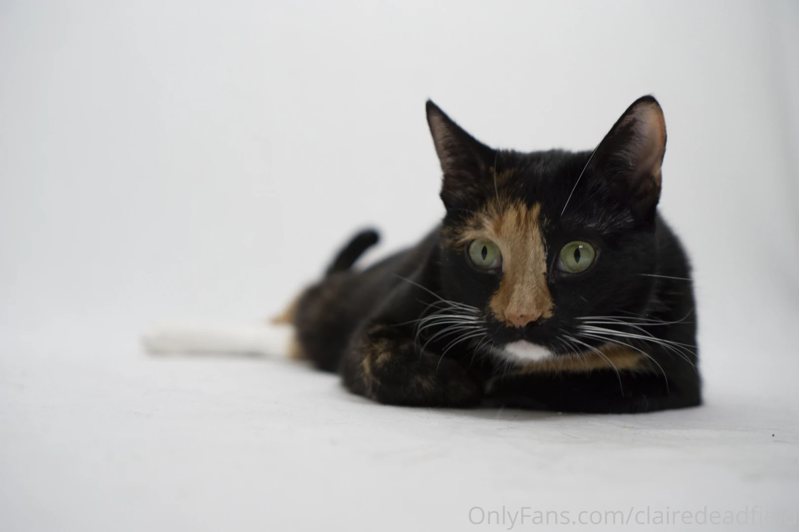 Okay just a little more behind the scenes for you the content you part 3 