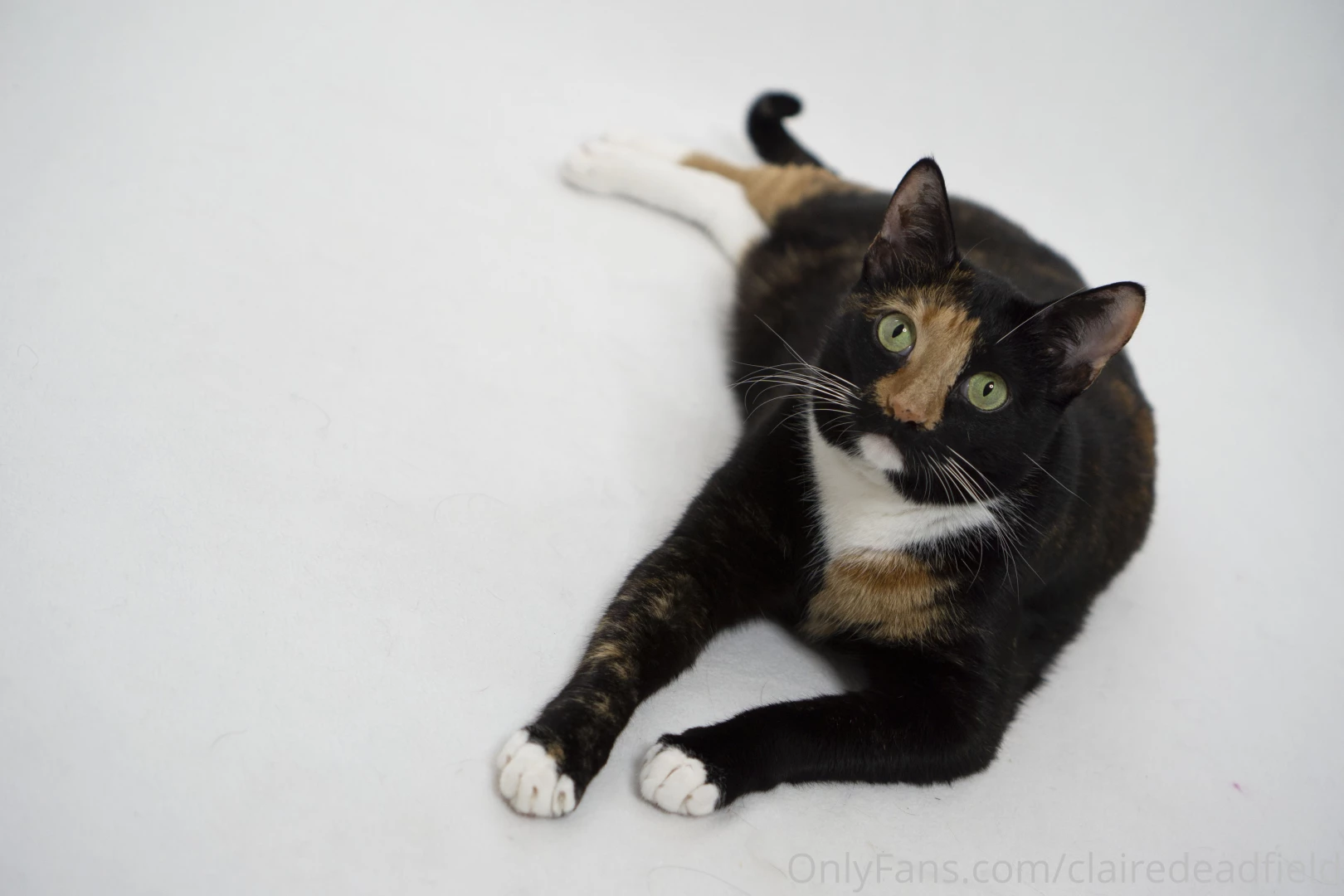 Okay just a little more behind the scenes for you the content you part 1 