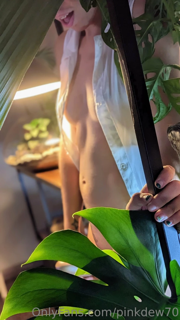 Search among the plants 