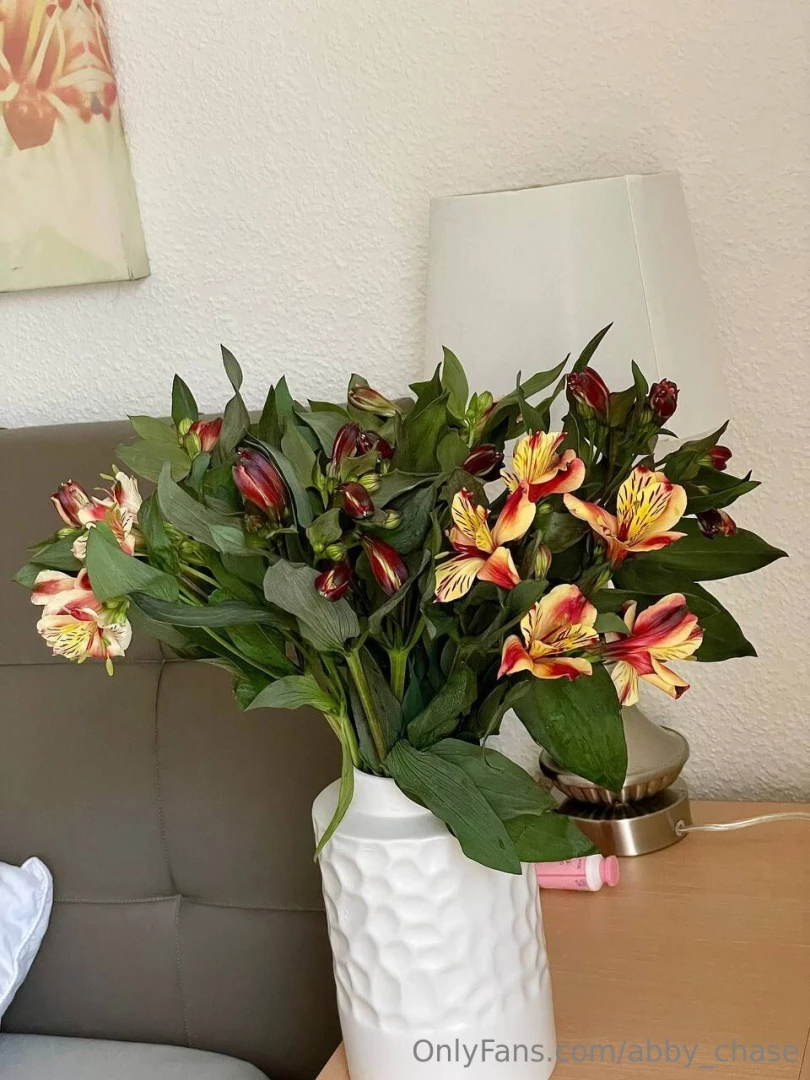 Can you guess the name of these flowers 