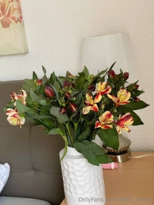 Can you guess the name of these flowers