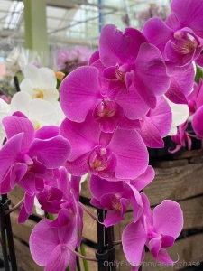 What s your character