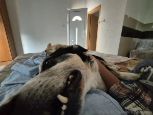 Mornings like this are better than any dream just soft fur sleepy part 2