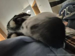 Mornings like this are better than any dream just soft fur sleepy