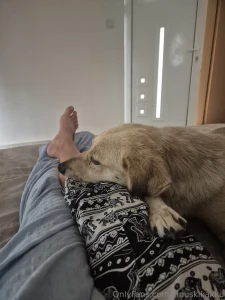 Mornings like this are better than any dream just soft fur sleepy part 1