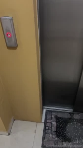 Fucking in the elevator