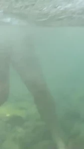 Naked titties in the sea part 1