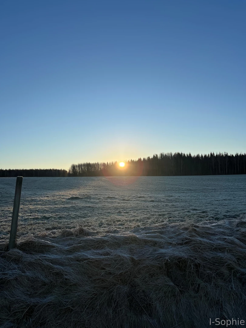 From a beautiful morning to a lovely evening hope you are having a part 2 