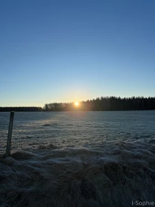 From a beautiful morning to a lovely evening hope you are having a part 2