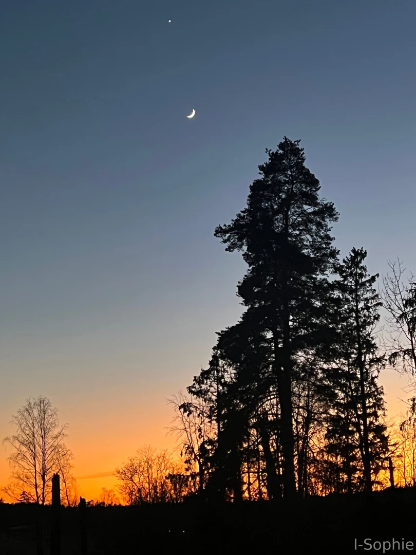 From a beautiful morning to a lovely evening hope you are having a part 3 