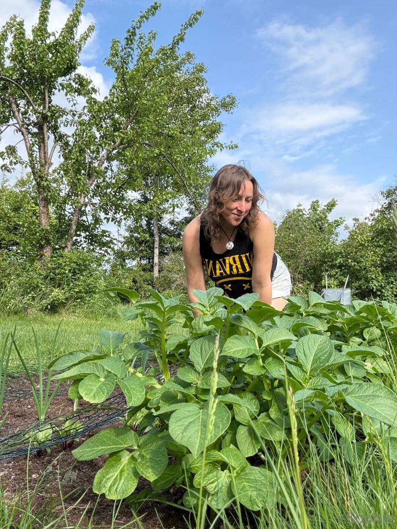 Been doing some garden work today and my plants are growing nicely 