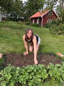 Been doing some garden work today and my plants are growing nicely part 1