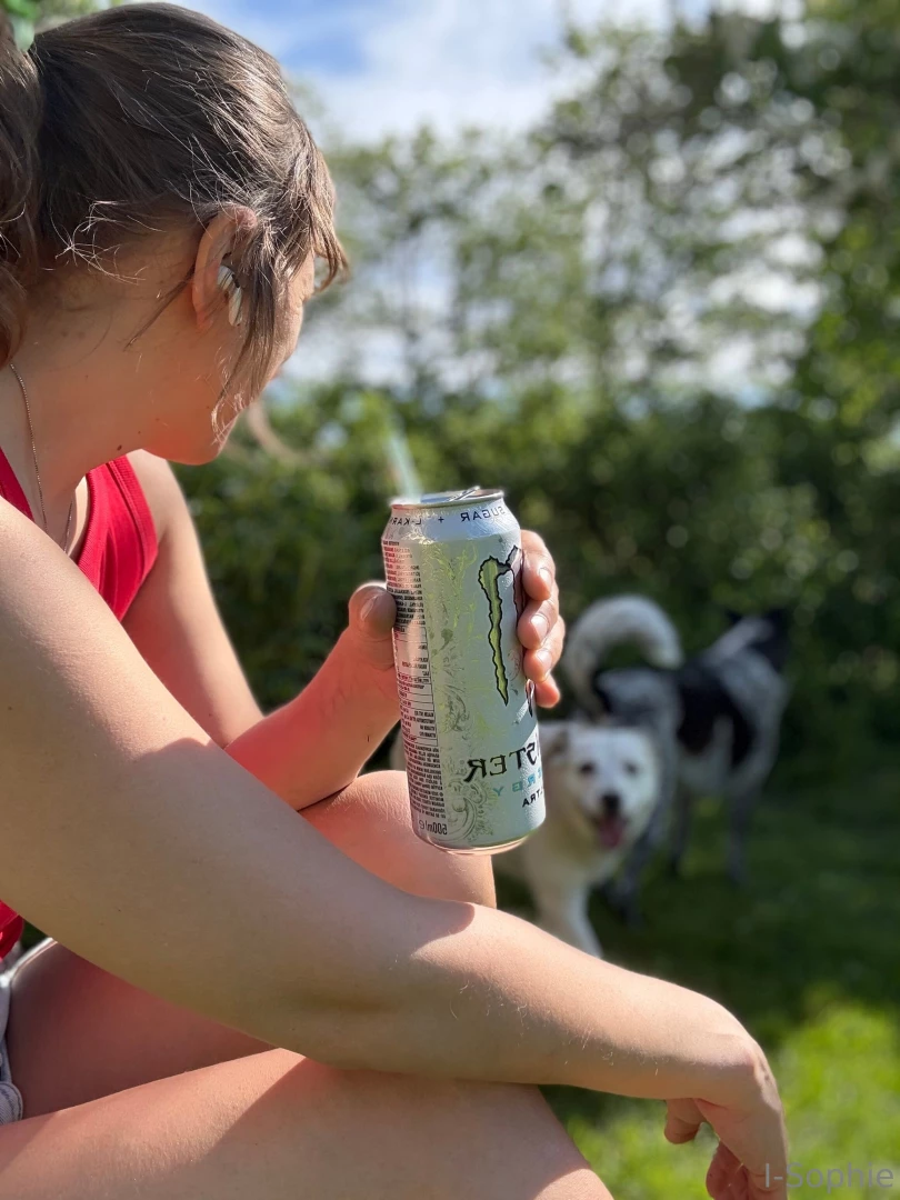 Finally some sun today so i could take of my jungle and my dogs really 