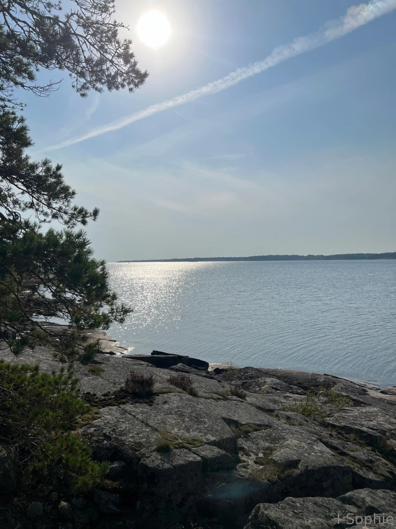 From this weekend today not so nice outside thunder and heavy rain but 