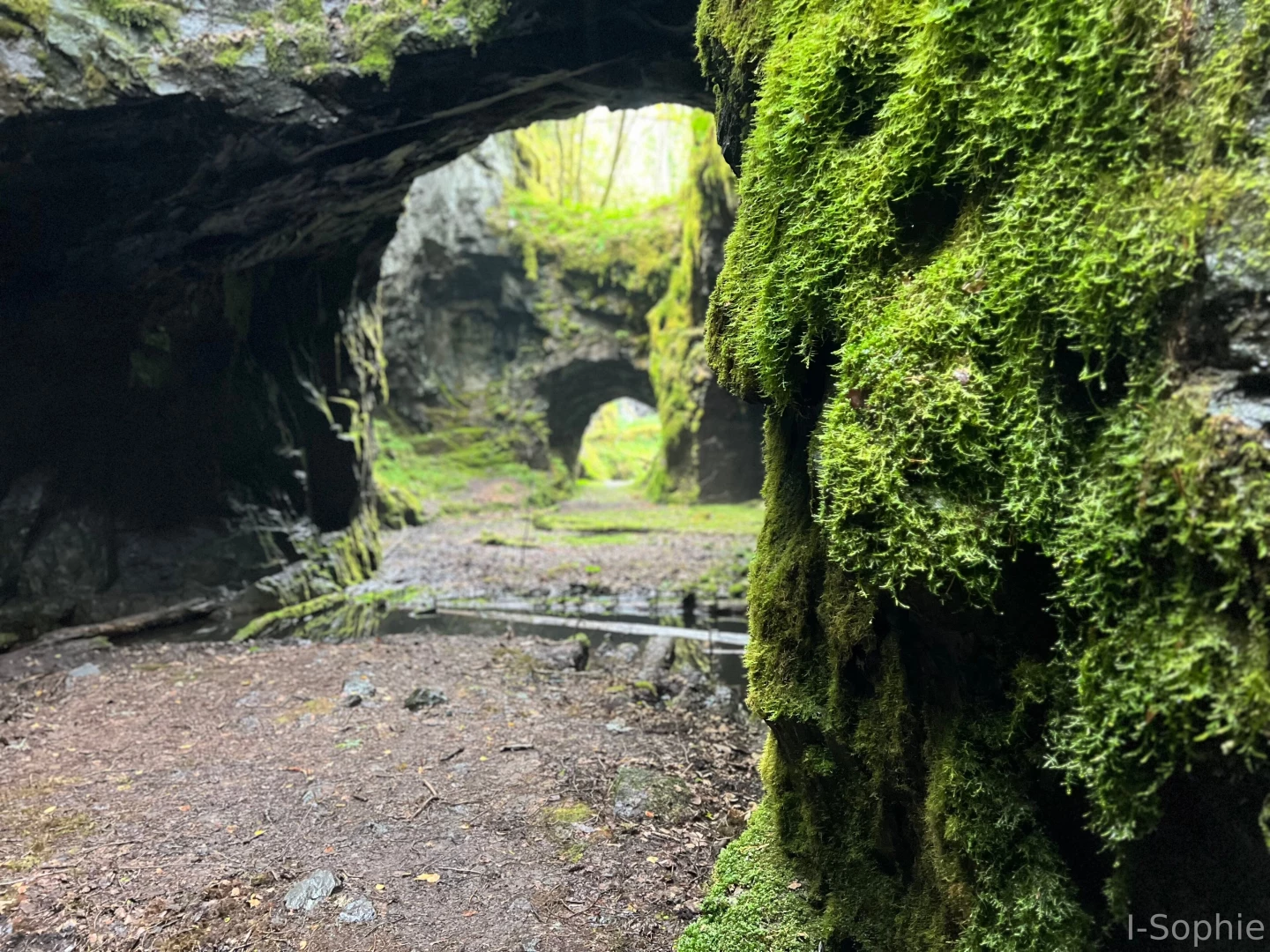 New oftv is up check it out https of tv v bk694 part 1 