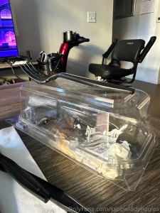 My celebration post for the chiefs getting into the super bowl haha i part 2