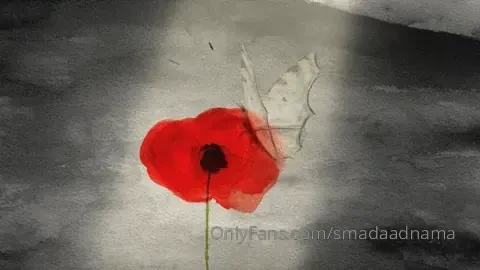 Hand on heart in honour of their bravery and sacrifice part 1 