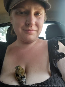 More travels and camping part 2