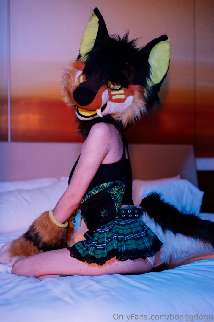 C mon come play with me this puppy loves to get a little ruff 