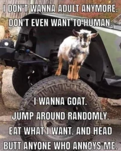 Yup that s where i m at lol