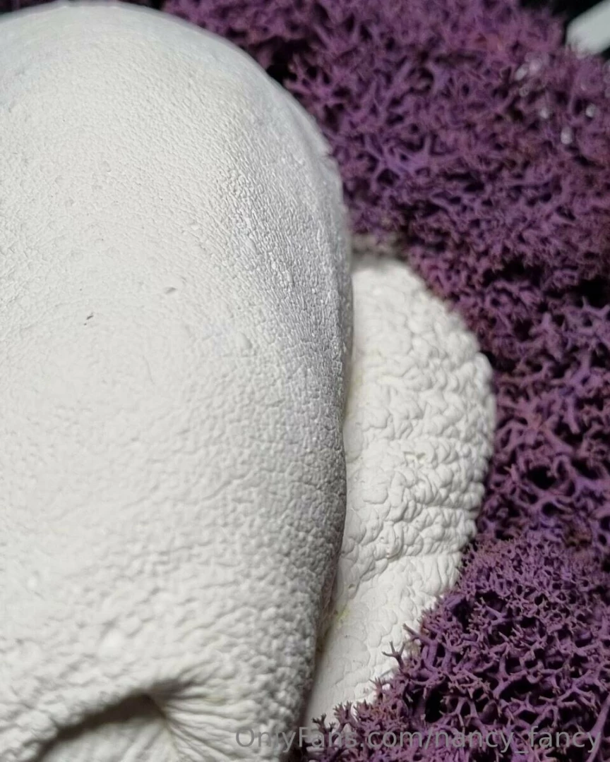 I really like the texture of the skin of the scrotum frozen in plaster 