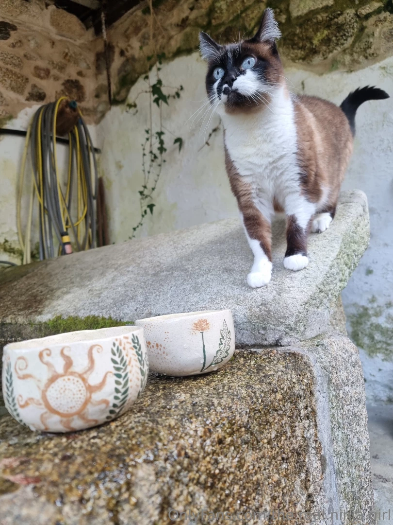 Happy bellybutton wednesday also sharing some pottery i finally part 3 