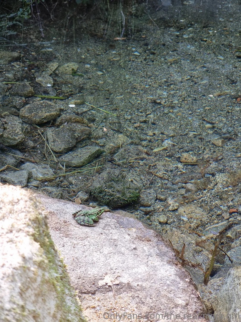 I love these photos d i hope you ll enjoy them too also sharing a frog part 3 
