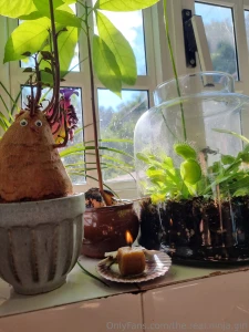 Summer is full on that candle is for ozzy part 1