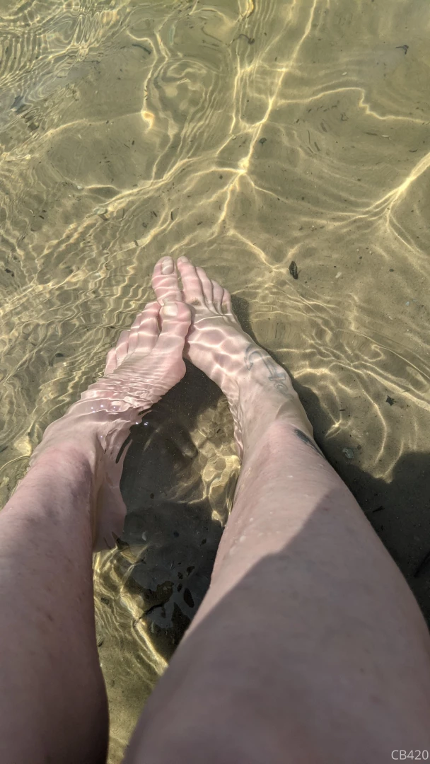 I got my toes in the water ass in the sand life is just a song written 