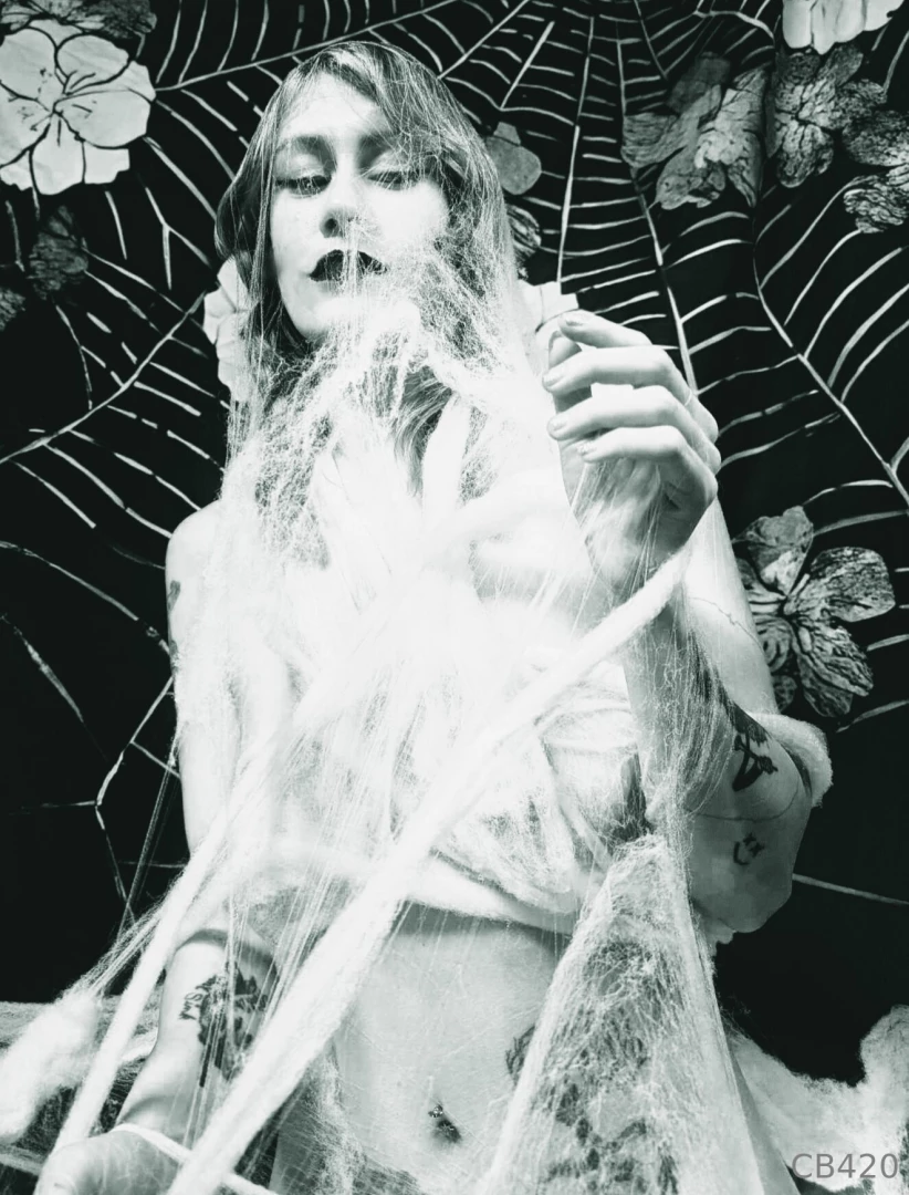 What s normal to the spider is chaos to the fly 