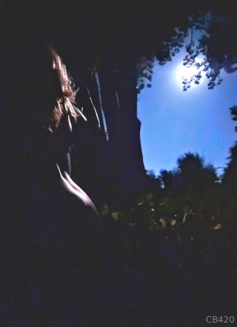 Let s go dancing in the moonlight 