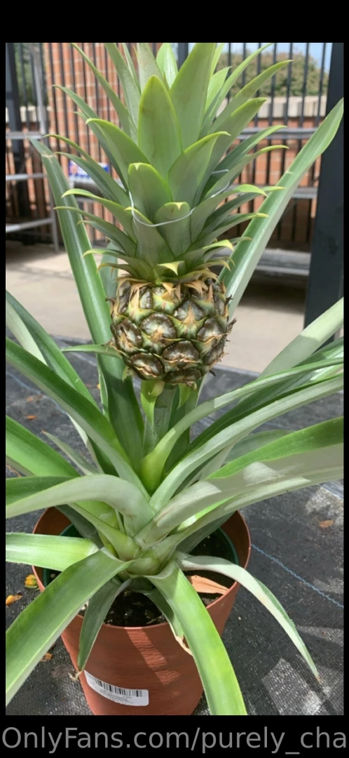 It s so tiny should i take it home 