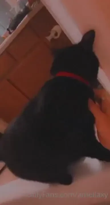 Still working on my dress video featuring some bunny ears i don t work part 2 