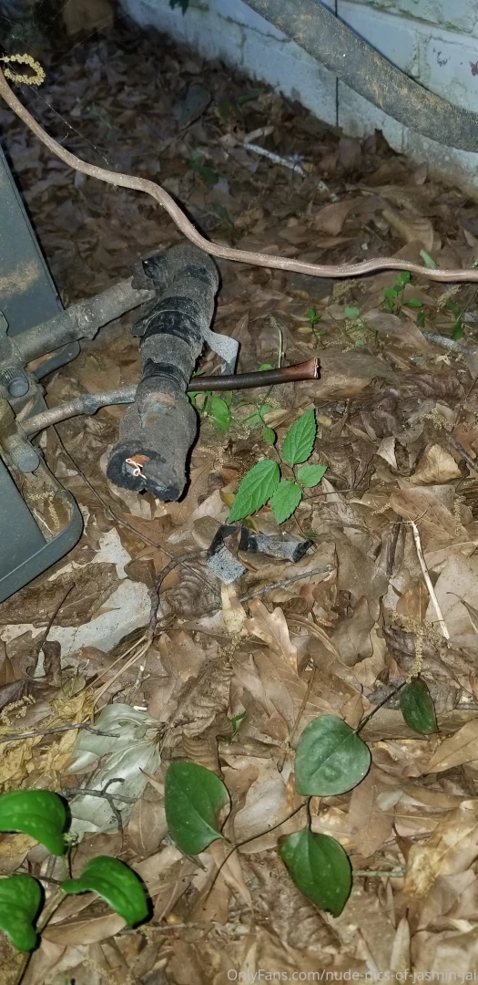 So i went to work on my home renovation today which has been a three 