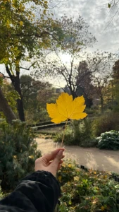 Madrid me dej como quiero dejarte yo a ti todos los d as part 1