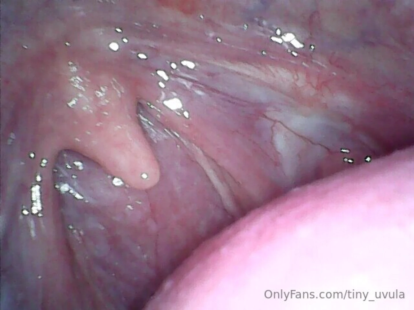 I got a new toy can you tell what it is first 5 comments get a free 