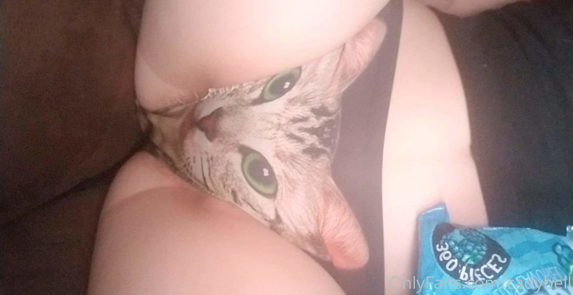 Gooood morning heres my kitty 