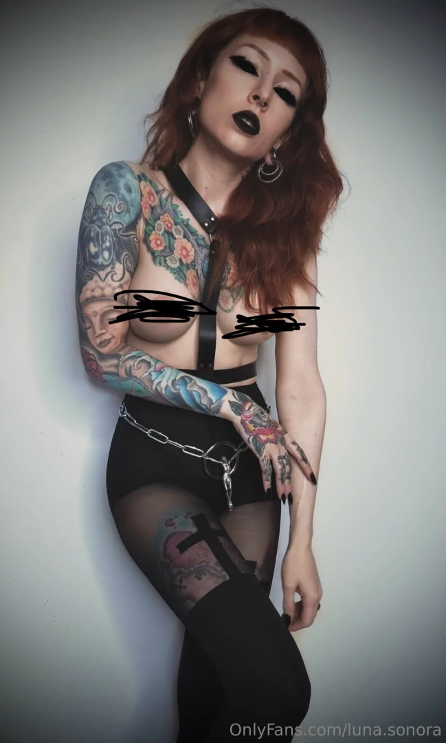 Good pets beg for me 