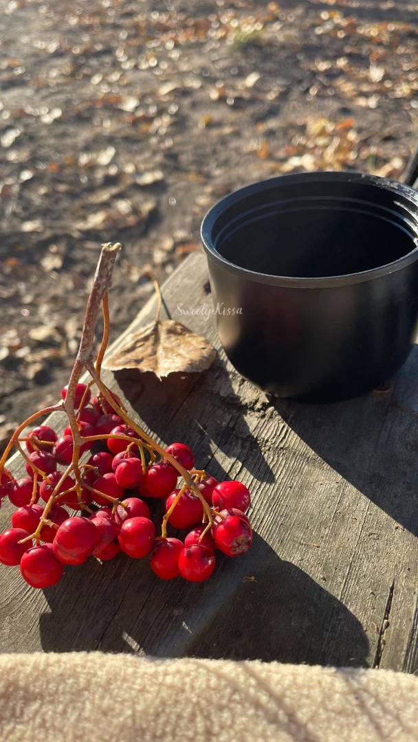 Enjoying the sweet moments of fall hope you re somewhere cozy too part 4 