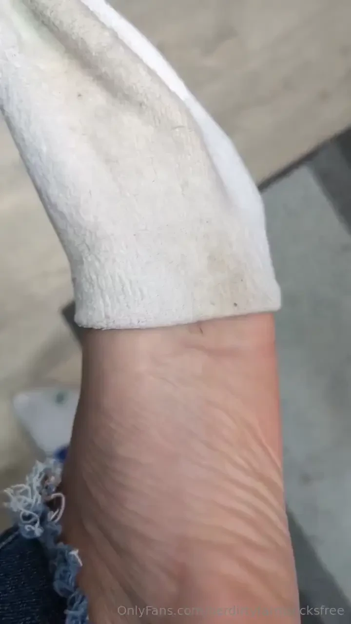 Champion socks 