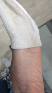 Champion socks