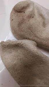 Champion socks part 1