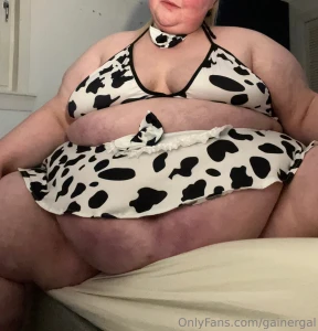 Big fat cow part 1