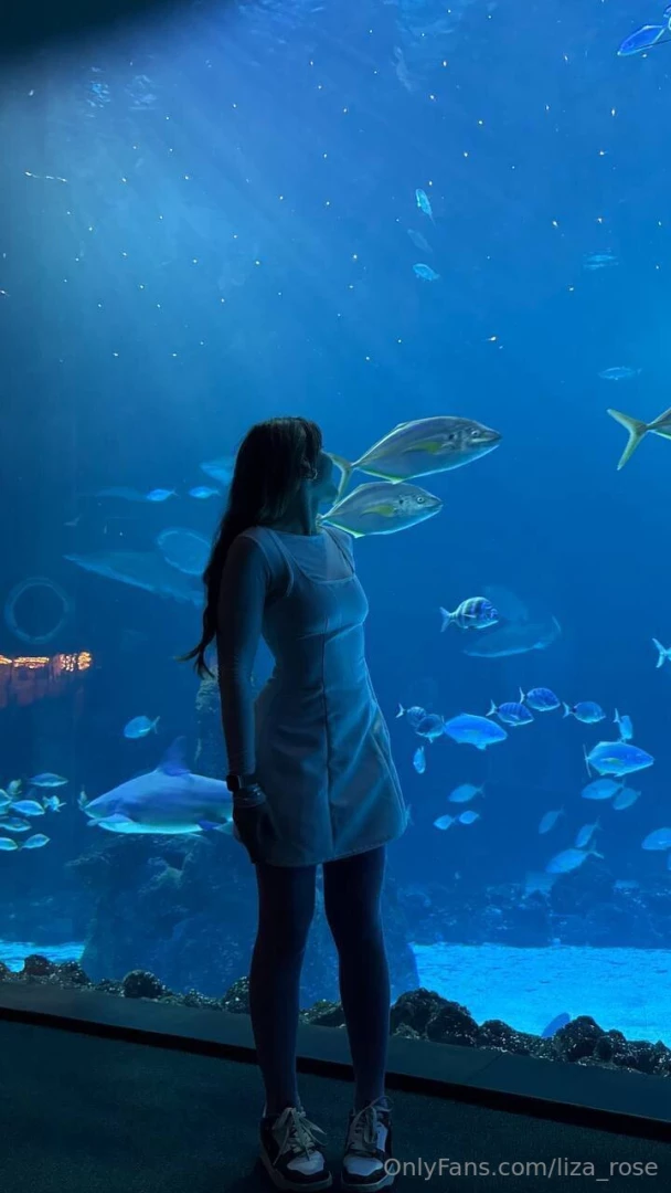 I have always been interested in exploring the underwater world but 