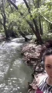 Forest fairy part 10