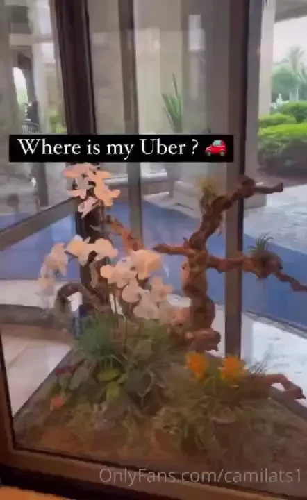 Visiting the ritz-carlton orlando grande lakes 