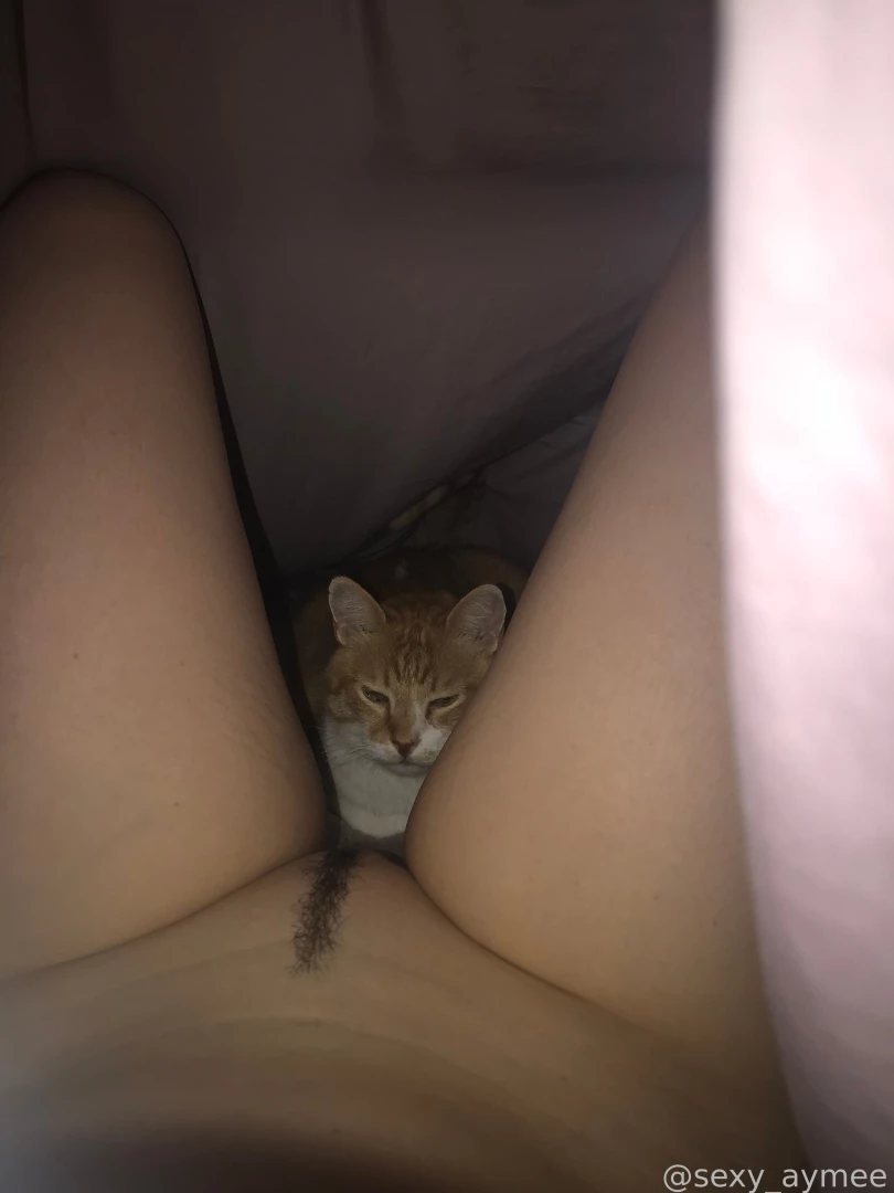 My pussy under the covers 